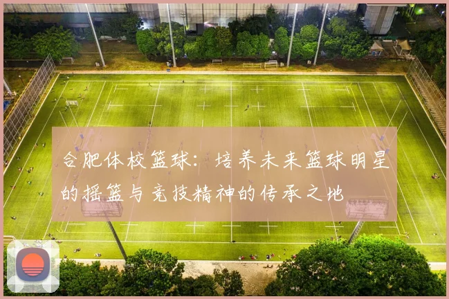 合肥体校篮球：培养未来篮球明星的摇篮与竞技精神的传承之地