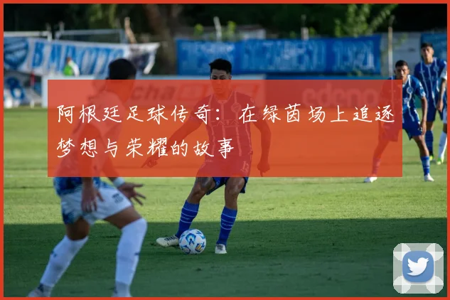 阿根廷足球传奇：在绿茵场上追逐梦想与荣耀的故事