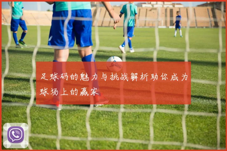 足球码的魅力与挑战解析助你成为球场上的赢家