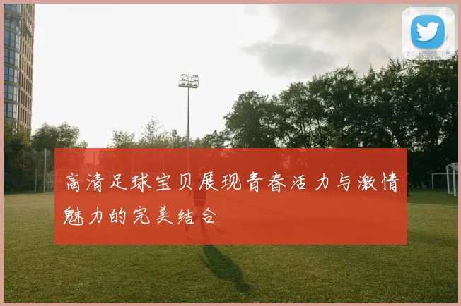 高清足球宝贝展现青春活力与激情魅力的完美结合